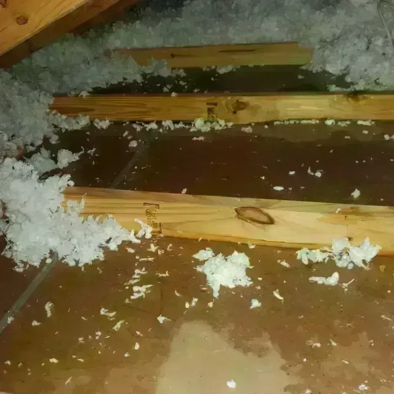 Attic Water Damage in Monroeville, AL