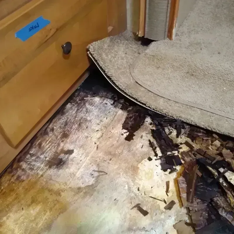 Wood Floor Water Damage in Monroeville, AL